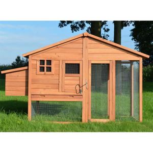 Poulailler 5 Poules Achat Vente Pas Cher