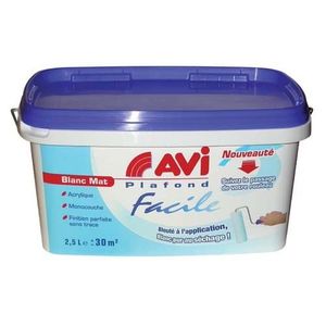 Peinture Plafond Facile Acrylique Mat B Achat Vente