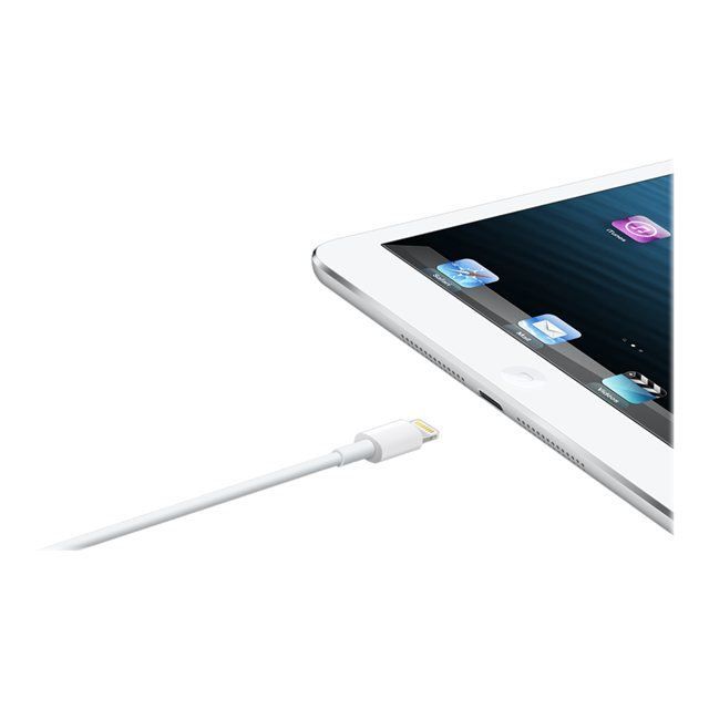 Apple iPad mini Wi-Fi 16 Go blanc & argen4