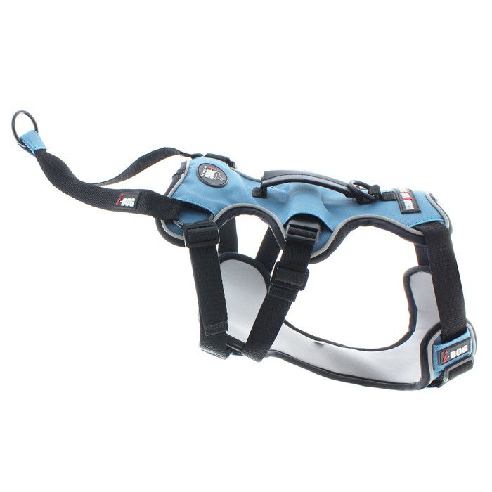 I DOG Harnais Canicross - Taille S - Bleu et gris - Pour chien