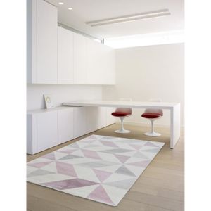 TAPIS MADRID Tapis de salon style moderne 120x170 cm ros