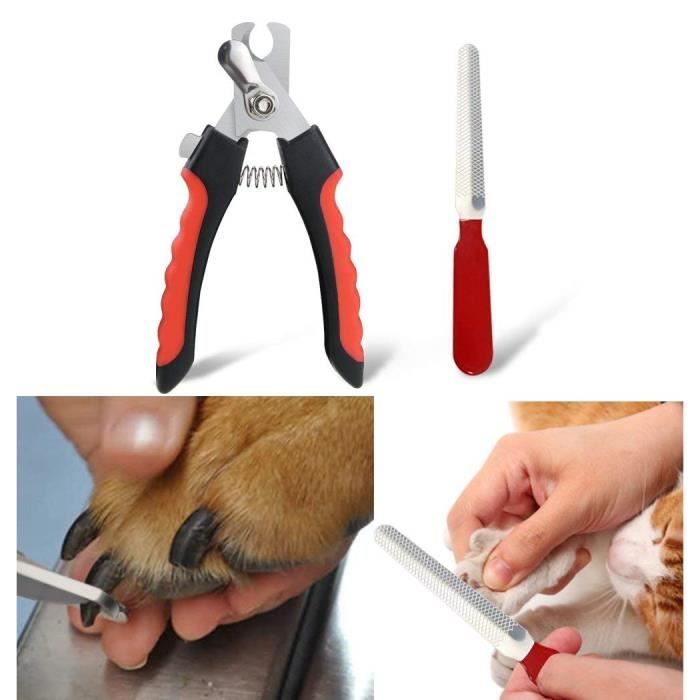 Coupe ongle chat Achat / Vente pas cher