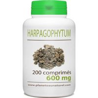 COMPLÉMENT ARTICULATION Harpagophytum - 600 mg - 200 comprimés COMPLÉMENT ARTICULATION Harpagophytum - 600 mg - 200 comprimés