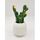 Cactus fleuri dans son contenant Scandinave - H 16