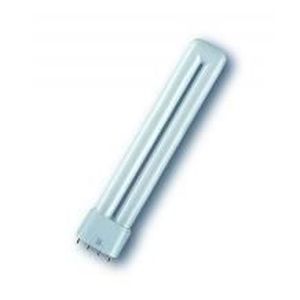 2g11 36w Fluorescente 840 Lampe Compacte Ralux®long Achat L Rx BWdQCxeor