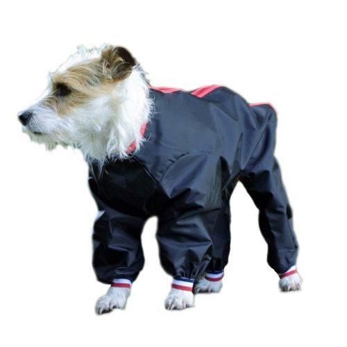 manteau pour chien avec pattes