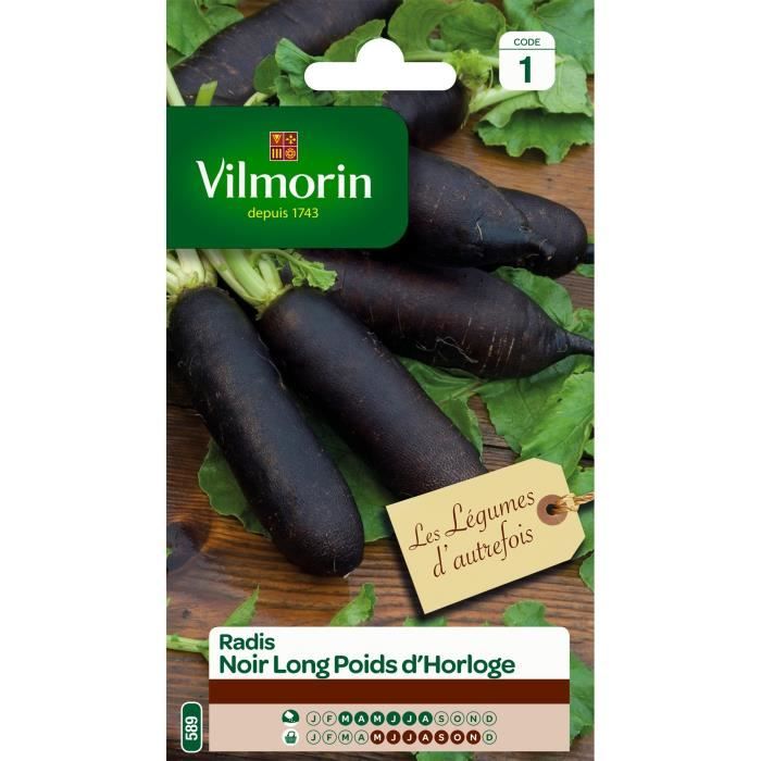VILMORIN Radis noir long poids d'horloge