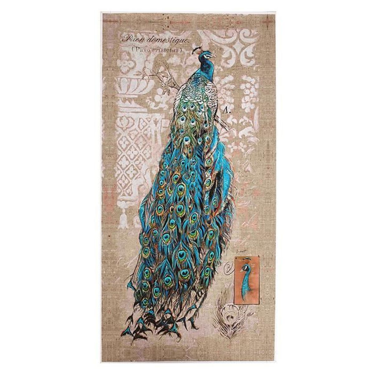 Peinture Huile Toile Paon Animaux Abstraite Décor Muraux Maison Peinture Huile Toile Paon Animaux Abstraite Décor Muraux Maison
