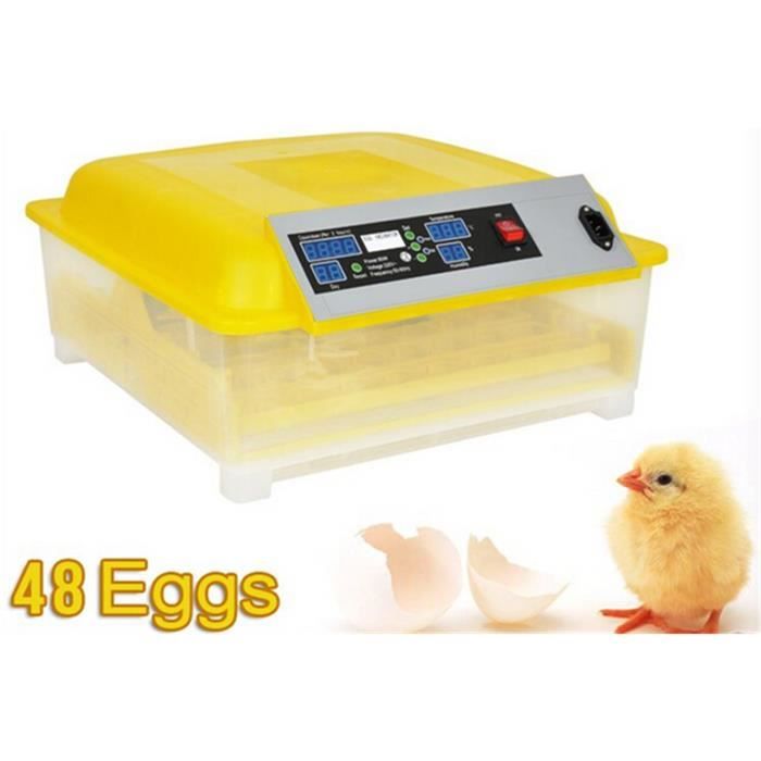 40 egg incubator