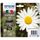 EPSON Multipack T1806 - Pâquerette - Noir, Cyan, M