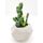 Cactus dans son contenant - H 16 cm - Pierre origa