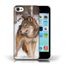 coque iphone 5 animaux sauvage coque iphone 5 animaux sauvage