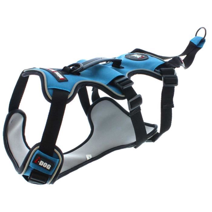 I DOG Harnais Canicross - Taille XL - Bleu et gris - Pour chien