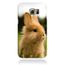 coque lapin samsung galaxy s6 coque lapin samsung galaxy s6