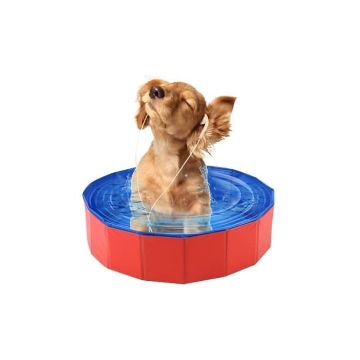 Petite Piscine Pour Chien Achat Vente Jeux Et Jouets Pas Chers