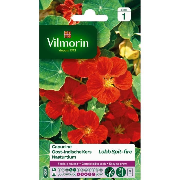 VILMORIN Capucine de lobb spit fire rouge