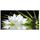 FLEUR LOTUS Tableau déco contemporain 60x30cm