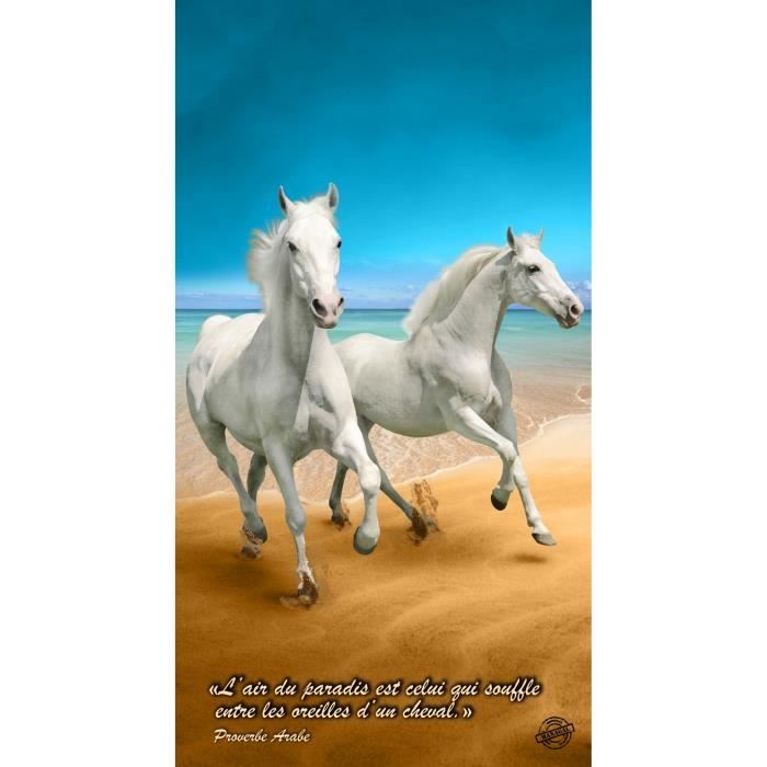 Serviette De Plage Chevaux Plage 95 Cm X 175 Cm - 