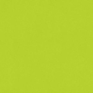 Peinture Vert Anis Achat Vente Pas Cher