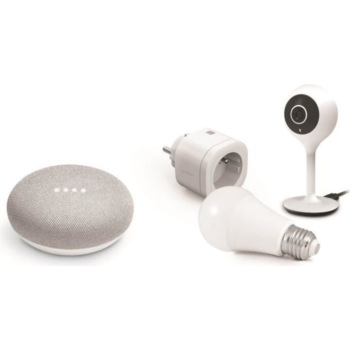 Starter Kit Avidsen avec Google mini