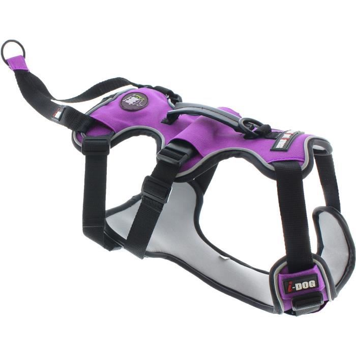 I DOG Harnais Canicross - Taille XL - Violet - Pour chien