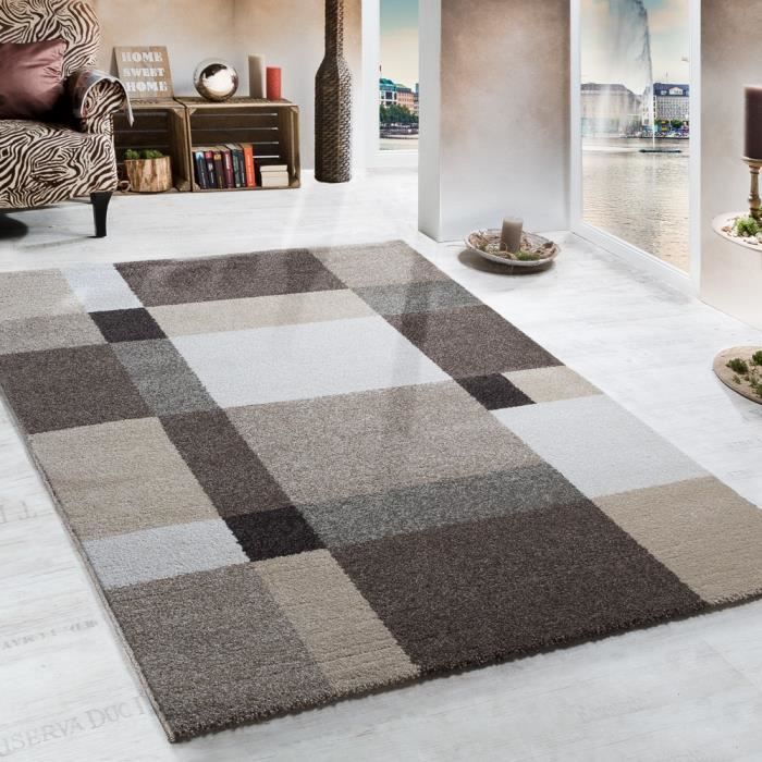 Tapis Lourd Beige Crème Marron 200x290 cm - Achat ...