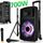 Enceinte sono amplifiee