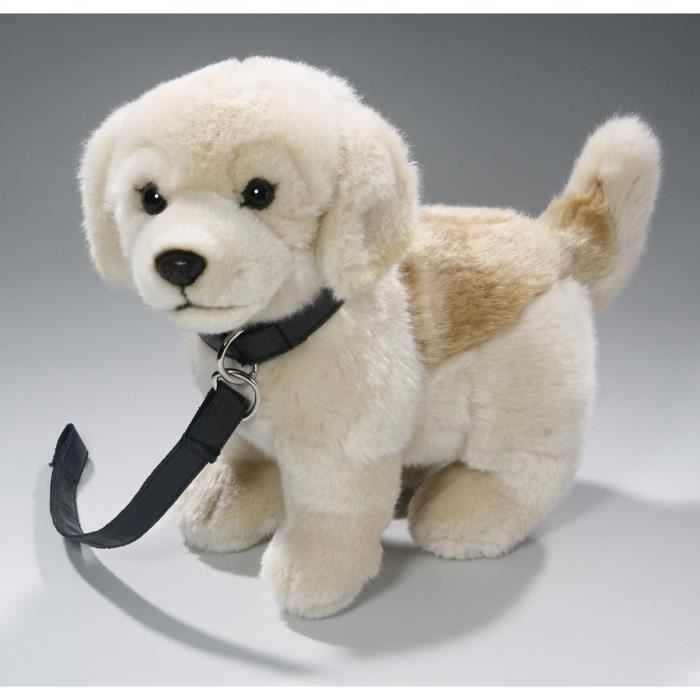 Peluche Retriever Avec Golden Assis Chien22cmjouet Laisse De rCBodxe