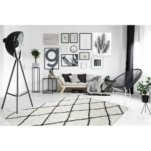 TAPIS ASMA Tapis de salon Shaggy - Style berbère - 150 x