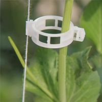 TUTEUR - LIEN - ATTACHE 100pcs Clips de Fixation pour Plantes TUTEUR - LIEN - ATTACHE 100pcs Clips de Fixation pour Plantes