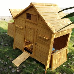 Poulailler Bassette Xl 6 à 10 Poules Achat Vente Poulailler