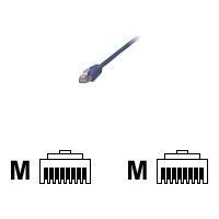 MCL Cordon de brassage - RJ45 CAT 5e U/UTP - 1 m - Bleu