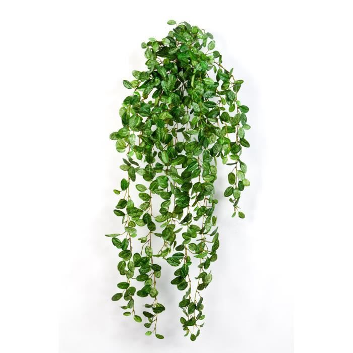 Plante artificielle Fittonia, 700 feuilles, vert-blanc, 85 ...