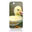 coque poussin iphone 6 coque poussin iphone 6
