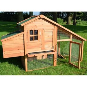 Poulailler 5 Poules Achat Vente Pas Cher