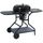 Barbecue charbon
