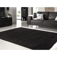 TAPIS TRENDY Tapis de salon Shaggy en polypropylène - 16 TAPIS TRENDY Tapis de salon Shaggy en polypropylène - 16