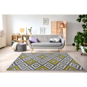 TAPIS TAVLA Tapis de salon moderne - 160  x  230 cm - 10
