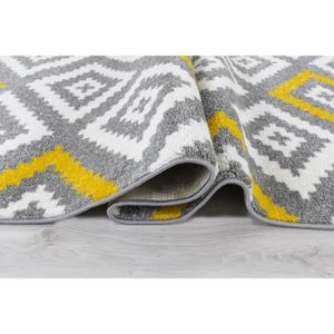 TAPIS TAVLA Tapis de salon moderne - 160  x  230 cm - 10