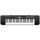 CASIO Clavier CTK-240 49 touches