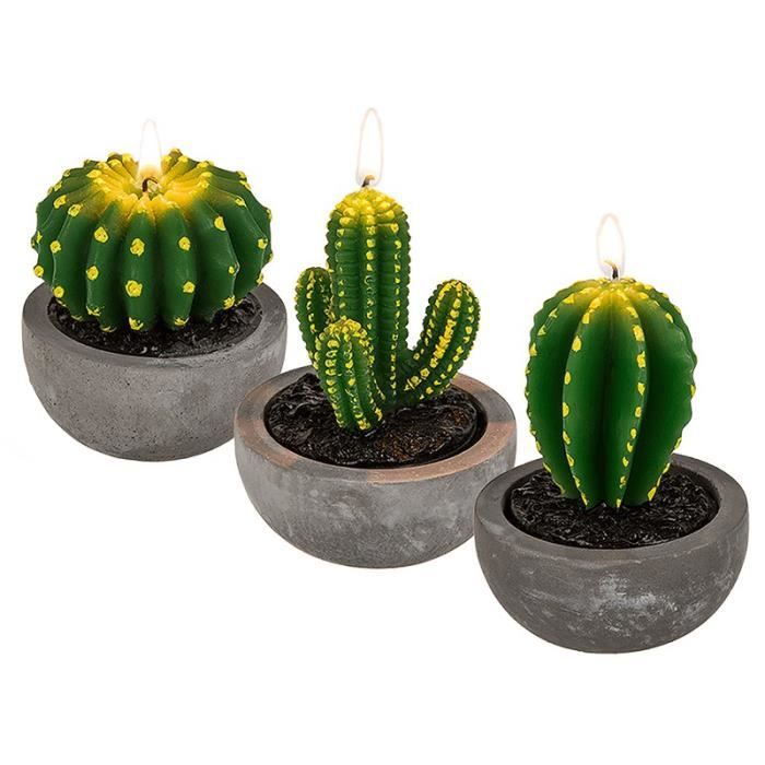 bougie cactus achat vente bougie cactus pas cher bougie cactus achat vente bougie cactus pas cher