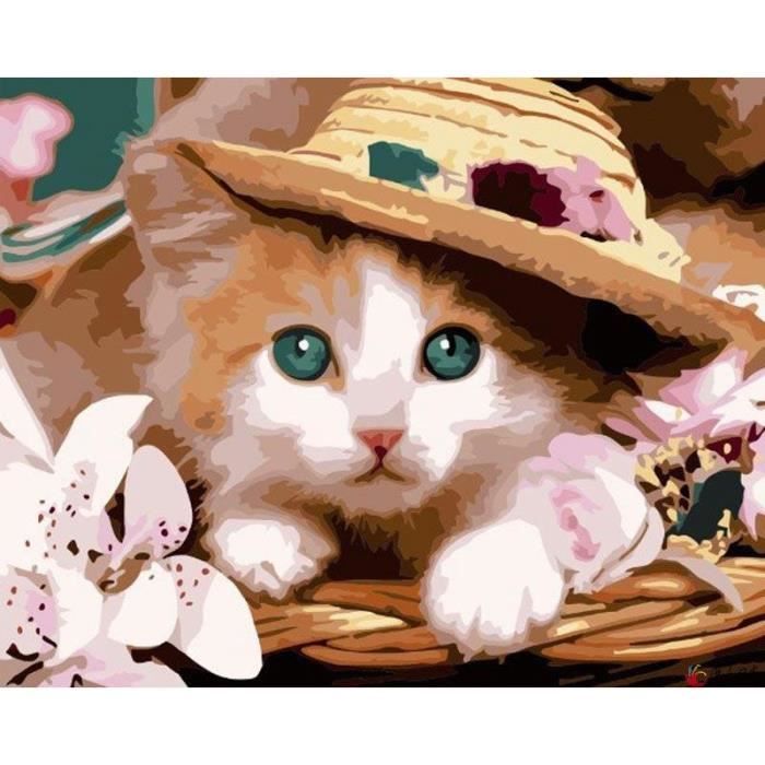 RÃ©sultat de recherche d'images pour "chats mignons"