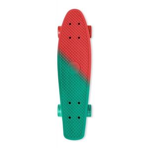 STREET SURFING Skateboard Beach Board Color Vision