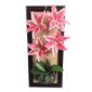 Décoration Murale Cadre De Fleur Artificielle Lys Achat Vente