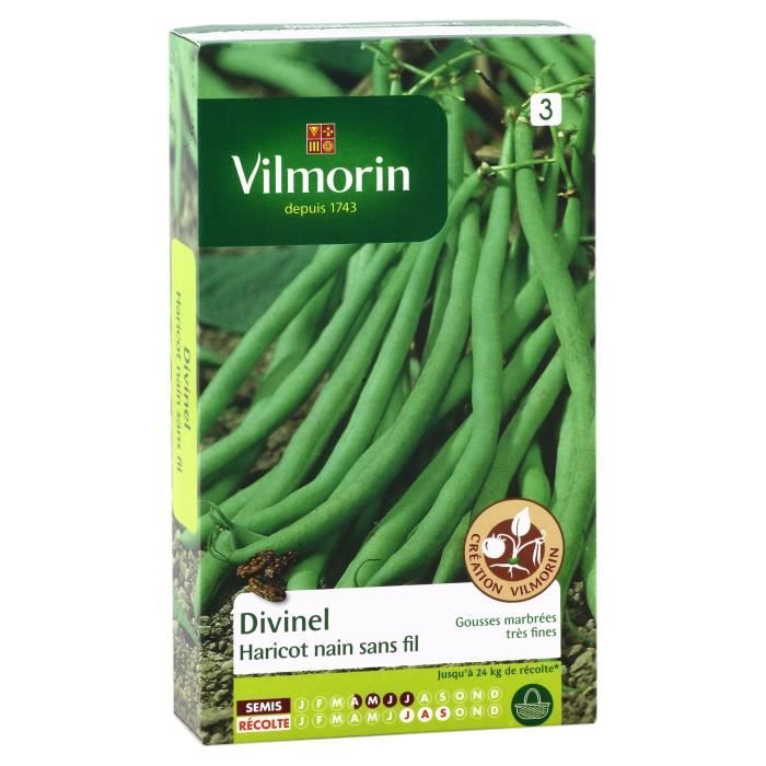 VILMORIN Haricot Divinel Sachet de graines - Création Vilmorin