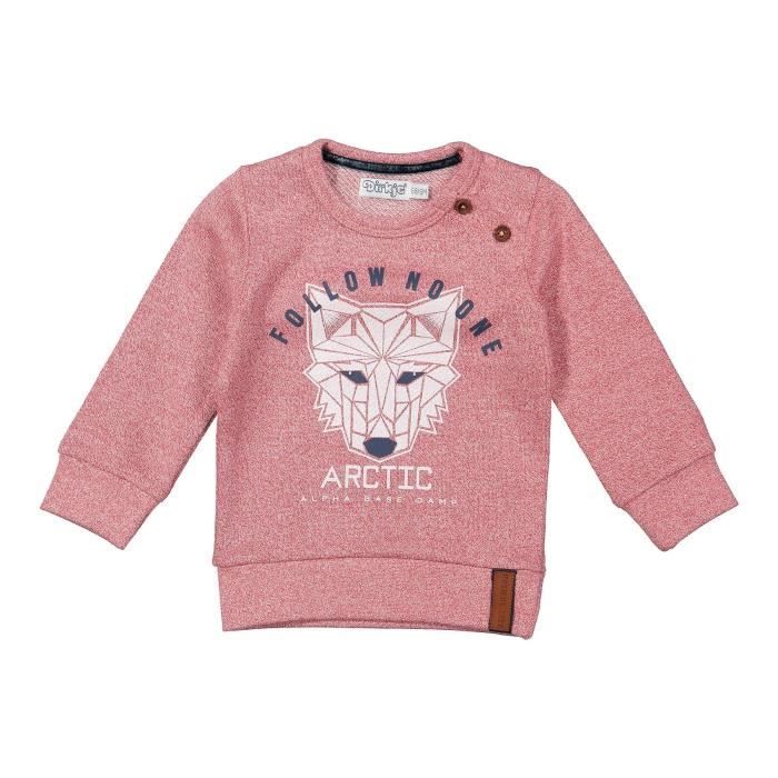 DIRKJE Veste Sweat Imprimé Renard Rouge Chiné et Blanc Bébé Garçon