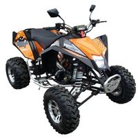 Quad EGL Madmax 250   Achat / Vente QUAD QUAD EGL MADMAX 250 LUX