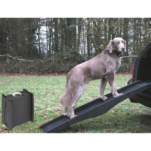 https://i2.cdscdn.com/pdt2/2/5/0/1/300x300/vad4033766763250/rw/rampe-telescopique-gris-1-52m-pr-chien-jusque-60kg.jpg