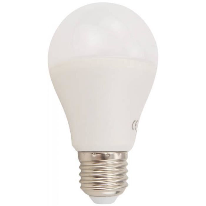 Ampoule LED E27 Globe gros culot à visser 6W - Achat / Vente ampoule