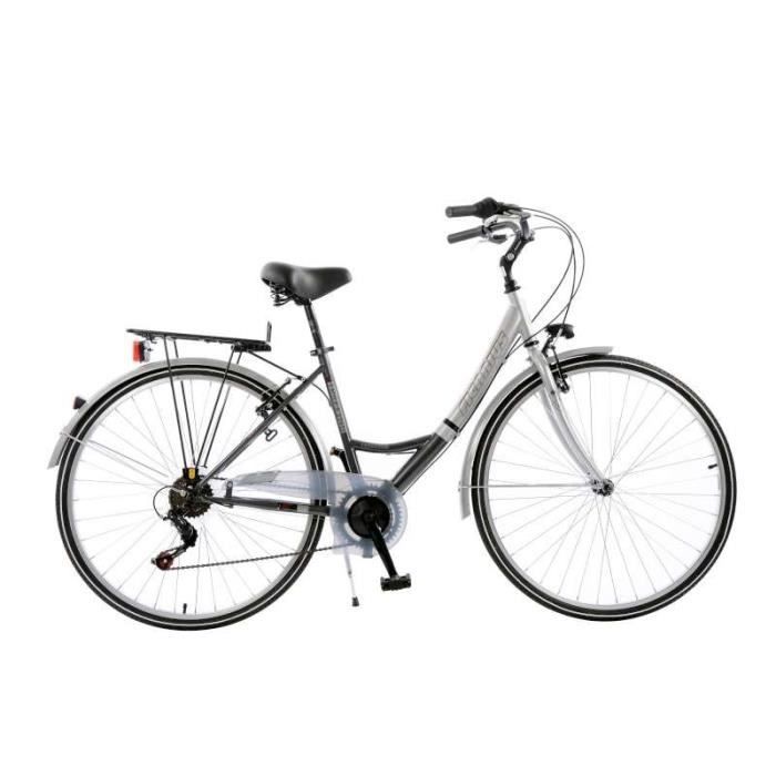 Vélo Ficarius Trekking - Argent et Anthracite